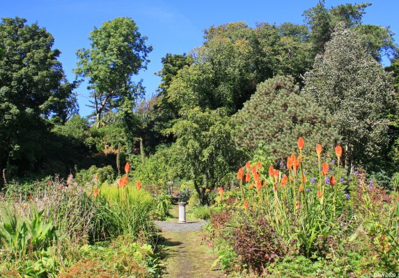 Achamore Gardens, Gigha, 2016
Created by Colonol Sir James Horlicks and his gardener Kitty Loyd Jones in 1944.  It is the home to a renowned Rhododendron and Camelia collection that flourish of Gigha's mild microclimate.  Today the garden is in the care of the Gigha Heritage Trust.  [url=http://streetmap.co.uk/map.srf?X=164256&Y=647883&A=Y&Z=120/] Map location. [/url]
