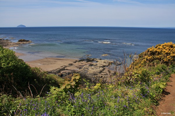 Ailsa Craig from Culzean Country Park
