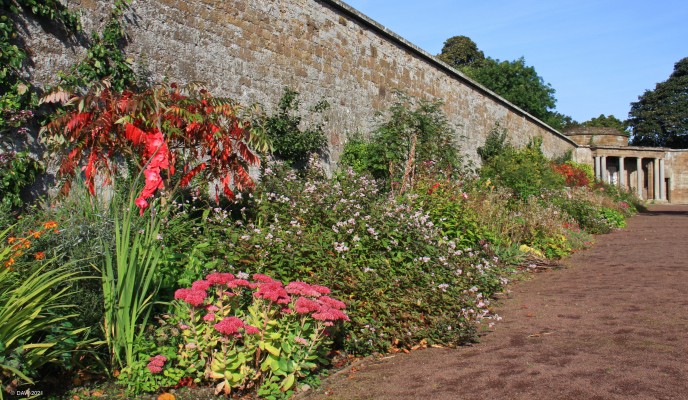 Amisfield Walled Garden, near Haddington
The walled garden of the former Amisfield House.  It is one of the largest walled gardens in Scotland and is now in the hands of the Amisfield Preservation trust.
