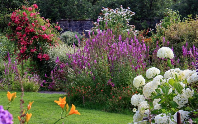 Applecross House, Walled Garden
Another view in the walled garden at Applecross House, Applecross.  [url=http://streetmap.co.uk/map.srf?X=172040&Y=845600&A=Y&Z=120/] Map location. [/url]

