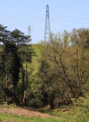 April, Wee Pylon, Big Pylon
AY36 (Big Pylon) looks down on F28 (Wee Pylon).   Wee Pylon has since carried his last Amp and has now gone to the great Pylon scrap yard in the sky.  [url=http://www.streetmap.co.uk/map.srf?X=246927&Y=657234&A=Y&Z=115/] Map location. [/url]

