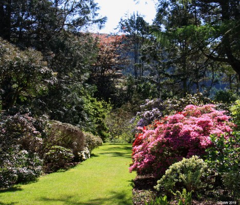 Arduaine Gardens
Arduaine Garden in late spring. [url=http://streetmap.co.uk/map.srf?X=179344&Y=710275&A=Y&Z=120/] Map location. [/url]
