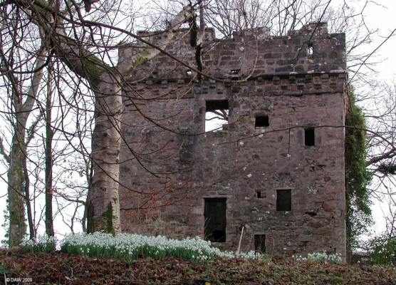 Ardgowan Tower, Inverkip
Located within the grounds of Adrgowan Estate near Inverkip.  A castle has stood here since the 13th century.  It was captured by the English in 1307 but was later re-taken by Robert Boyd acting on behalf of Robert the Bruce.  The land was given to the son of King Robert III in 1403.  The present day castle dates from the 15th century and was restored in 1936.  [url=http://www.streetmap.co.uk/map.srf?X=220582&Y=672992&A=Y&Z=115/] Map location. [/url]
