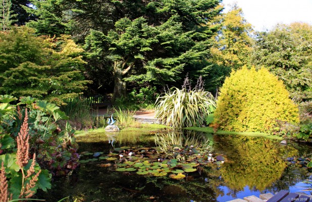 Armadale Castle Garden
A sunny early Autumn day at Armadale Castle Gardens.  [url=http://streetmap.co.uk/map.srf?X=163637&Y=804618&A=Y&Z=120/] Map location. [/url]
