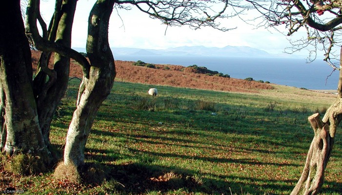 Isle of Arran viewed from the Carrick Hills
As you move down the ayrshire coast the view of Arran changes.  The outline of the Holly Isle can be seen just above the sheep. [url=http://www.multimap.com/map/browse.cgi?lat=55.413&lon=-4.6940&scale=25000&icon=x/]Map location.[/url]
