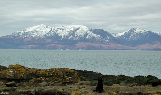 Spot the dog
Looking out towards Arran from Portencross.  The houses of Brodick are unusually clear on this day despite them being some 20km from this point.  [url=http://www.streetmap.co.uk/map.srf?X=217562&Y=649064&A=Y&Z=115/] Map location. [/url]
