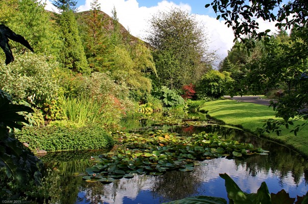 Attadale Gardens, Wester Ross
If you are heading north of Kyle of Lochalsh then [url=http://www.attadalegardens.com/] Attadale [/url] is well worth dropping in for a visit.
