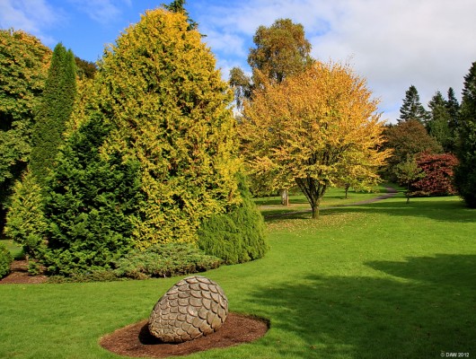 Autumn colour, Threave Gardens
Isn't it annoying when pine cones litter the garden in Autumn. [url=http://www.streetmap.co.uk/map.srf?X=275215&Y=560390&A=Y&Z=120/] Map location. [/url]
