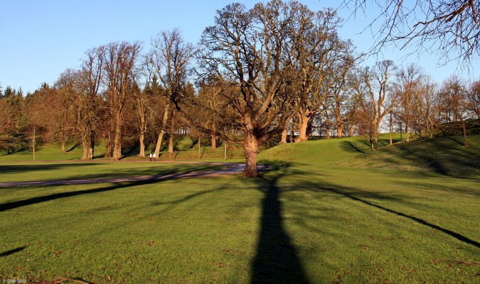 Big shadows, Callendar Park, Falkirk
The low winter sun casting tree big shadows in the park around Callendar House, Falkirk. [url=http://www.streetmap.co.uk/map.srf?X=290009&Y=679430&A=Y&Z=120/] Map location. [/url]

