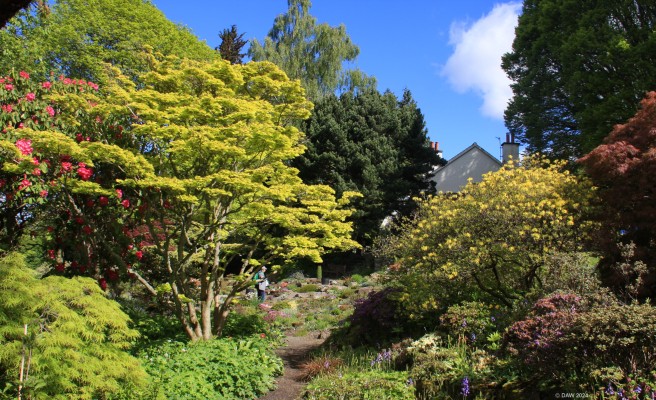 Branklyn Garden, Perth
