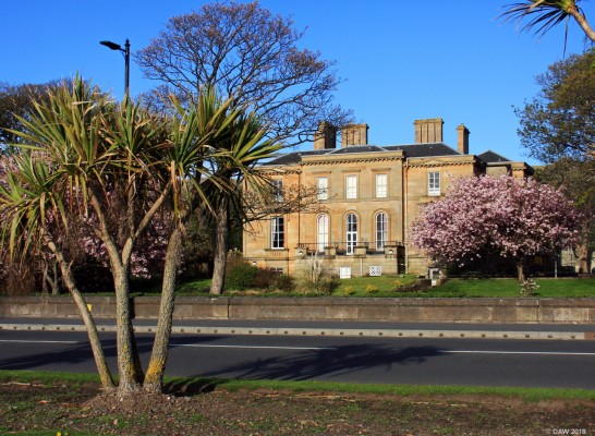 Brooksby House, Largs
Palm trees and cherry blossom, must be Largs.  Brooksby house sits in a commanding location on the sea front, it was built in 1837 to serve as a yachting holiday home for a Glasgow merchant.  In 1884 it was gifted to the Victoria Infirmary who used it as a convalescent home.  Today this category A listed building  is part of Largs Brooksby Medical centre.
