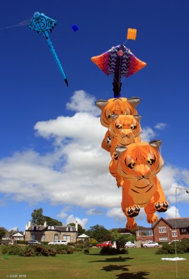 Kites, Broomfields, Largs
Taken in 2014 during a "Family fun day" at Broomfields in the south end of Largs.  [url=http://streetmap.co.uk/map.srf?X=220492&Y=658587&A=Y&Z=115/] Map location. [/url]
