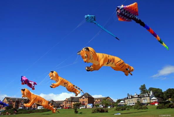 Broomfields, Largs
Taken in 2014 during the "family fun day".
