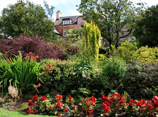 Broughton House Gardens, Kirkcudbright
A view of the garden at the rear of [url=http://www.nts.org.uk/Property/14/] Broughton House [/url] in Kirkcudbright.  The pinkish coloured building is Broughton House.
