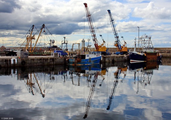 The Cluny Harbour, Buckie
This large harbour was built by the Cluny family in 1877 to replace an earlier stone harbour.  [url=http://streetmap.co.uk/map.srf?X=343083&Y=866032&A=Y&Z=115/] Map location. [/url]

