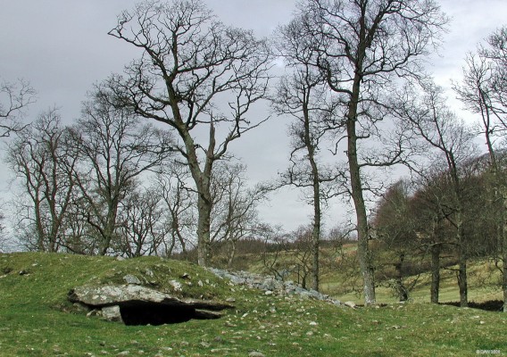 Burial Cairn, Kilmartin Glen
Just one of the many burial cairns to be found in Kilmartin Glen.  This one is near the Ballymeanoch standing stones.  [url=http://www.streetmap.co.uk/map.srf?X=183260&Y=697024&A=Y&Z=115&ax=183305&ay=696809/] Map location. [/url]
