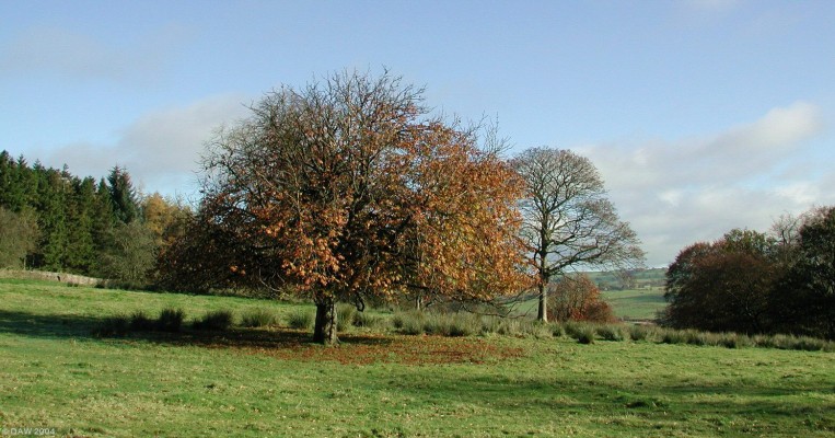 Caldwell Estate grounds
