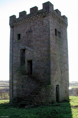 Caldwell Tower, North Eastern view
This view shows the external stairs and also the opening into the ground floor.  The structure of the building is in good condition which is no doubt due to its subsantially thick external walls.
