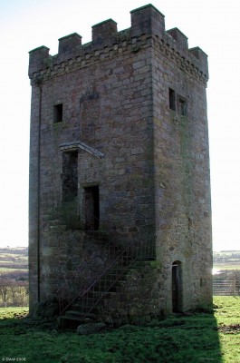 Caldwell Tower, North Eastern view
This view shows the external stairs and also the opening into the ground floor.  The structure of the building is in good condition which is no doubt due to its subsantially thick external walls.
