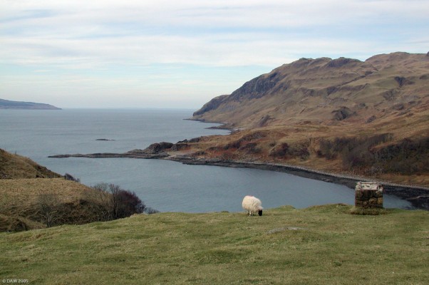 Camas nan Geall bay, Ardnamurchan
This small bay lies on the southern coastline of the Ardnamurchan Penninsula.  Its a welcome break on the seemingly never ending single track road to Ardnamurchan Point.  Unfortunately the legend on the viewpoint was missing and the only available local seemed to be unable explain.  The island on the left is Mull.
