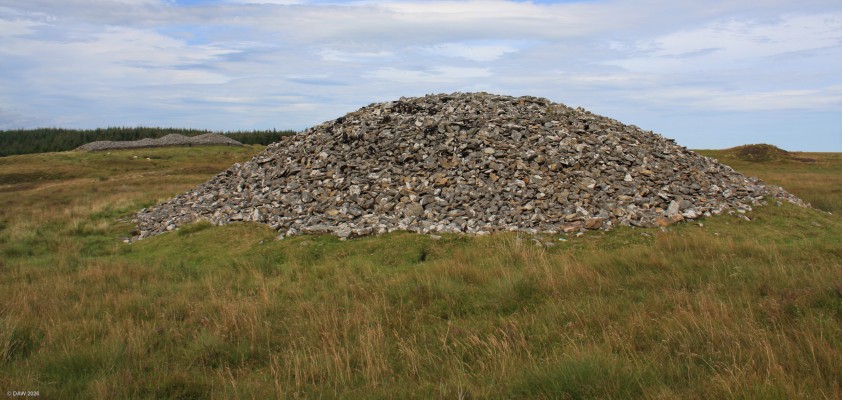 Camster round Cairn
A rear view of the Camster Round Cairn.  It was constructed around 5,000 years ago. In 1865 archaeologist Joseph Anderson found burnt human bones inside and parts of two skeletons in the passageway. The Long Cairn can be see in the background [url=http://streetmap.co.uk/map.srf?X=326087&Y=944040&A=Y&Z=115/] Map location. [/url]
