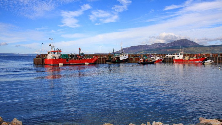Carradale Harbour, Mull of Kintyre
A view of the small harbour at Carradale, the hills of the Isle of Arran are in the background. [url=http://streetmap.co.uk/map.srf?X=181856&Y=638645&A=Y&Z=115/] Map location. [/url]
