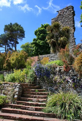 The ruins of Castle Balzieland form a backdrop at Logan Gardens
All that remains of  Balzieland Castle, a 16th century Tower House,  is the south angle you see here which has been incorporated into the walls at Logan Botanic Garden.  It is said to have burned down around 1500.  [url=http://www.streetmap.co.uk/map.srf?X=209588&Y=542641&A=Y&Z=115/] Map location. [/url]
