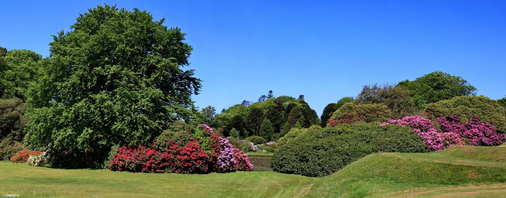 Castle Kennedy Gardens, 2012
Looking through a gap in the rhododendron towards the pond at Castle Kennedy Gardens.  Worth a visit at any time of the year but around May, early June, it has the most colour.
