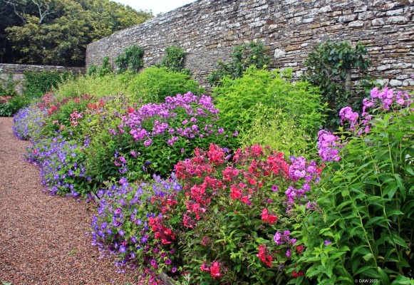Walled garden at Castle of Mey, 2019
The walled garden at [url=https://www.castleofmey.org.uk/] Castle of Mey [/url] on the north coast of Caithness.
