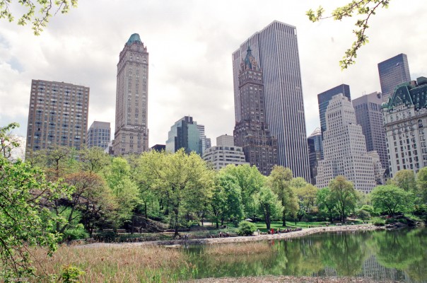 Central Park, New York City, 1989
