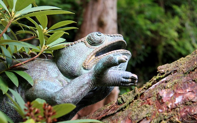 Chameleon Sculpture, Attadale Gardens
As you walk around [url=http://www.attadalegardens.com/sculptures/] Attadale Gardens [/url] you are sometimes surprised by what you see lurking in the trees.  This bronze Chameleon Sculpture is by Alexander Jones.
