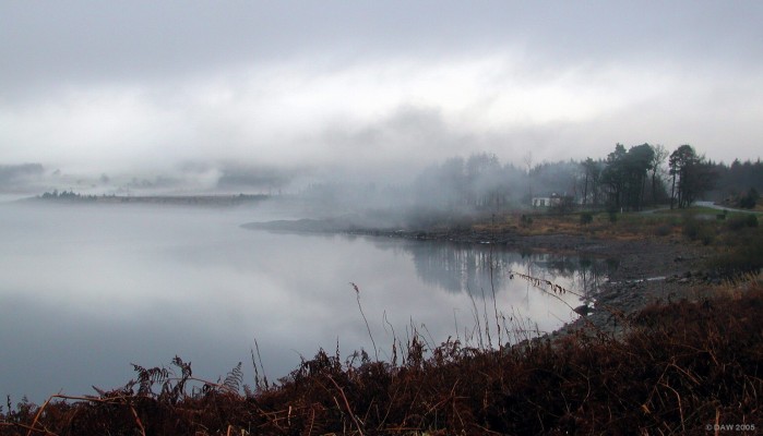 A misty winter morning at Clatteringshaws Loch, Galloway
