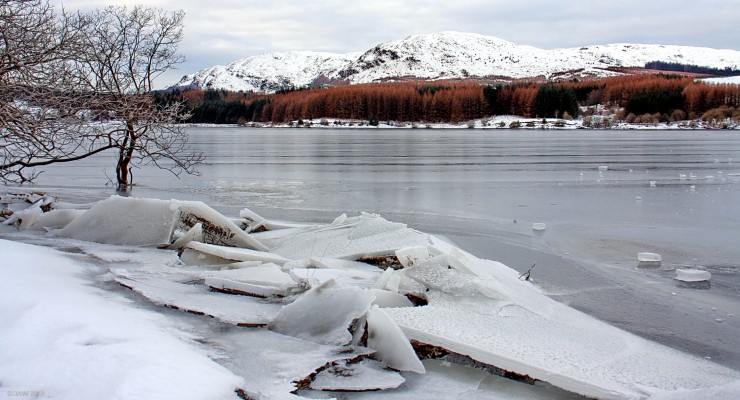 Clatteringshaws, Galloway Forest Park
Ice piles up on the shore as Clatteringshaws Loch starts to thaw after a cold spell of weather in early 2010. [url=http://www.streetmap.co.uk/map.srf?X=254775&Y=575817&A=Y&Z=115/] Map location. [/url]
