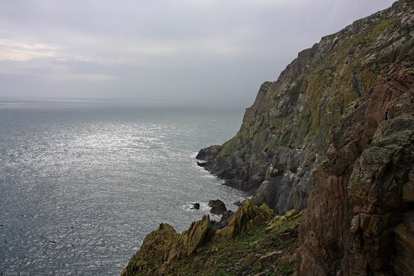 Cliffs below the Mull of Galloway Lighthouse
[url=http://www.streetmap.co.uk/map.srf?X=215207&Y=530649&A=Y&Z=115&ax=215855&ay=530449/] Map location. [/url]
