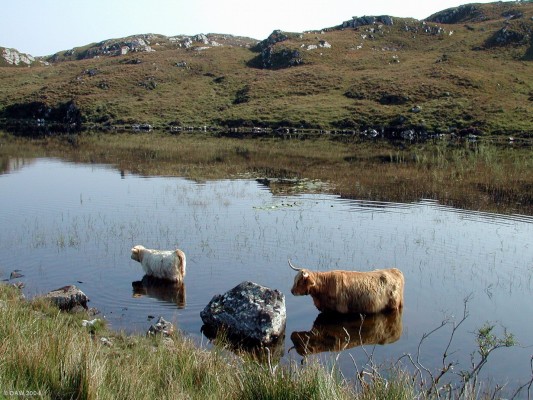 OK, we're in the water, what happens now?
