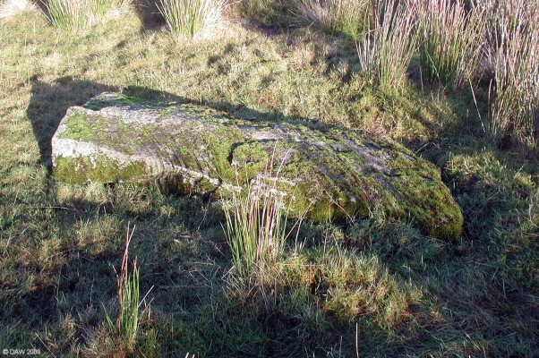 Covenanters Stone, Moyne Moor
One of the 7 stones that lie on Moyne Moor, one tale was that they were the graves of Covenanters but this seems unlikely.  The side is more probably a fallen stone circle since there are other ancient structures in the area.  [url=http://www.streetmap.co.uk/map.srf?X=247702&Y=653355&A=Y&Z=115/] Map location. [/url]
