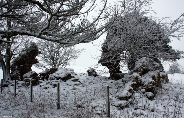 Ruins of Cowden Hall, Neilston
The ruins of the original 14th century Cowden Hall, Neilston. [url=http://streetmap.co.uk/map?X=246692&Y=657154&A=Y&Z=115/] Map location. [/url]
