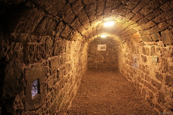 Inside the Caponier at Craignethan Castle.
Craignethan Castle�s defences include a caponier, a stone vaulted artillery chamber which is rare in Britain.   This lies inside the deep ditch that divides the tower house from the rest of the castle.  Any attempt to cross the ditch would have been met by artillery fire from the holes in this vaulted tunnel.  


