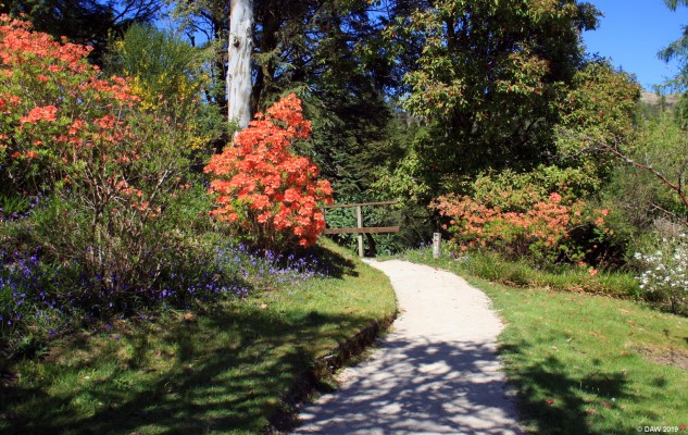 Crarae Gardens, Argyll and Bute
