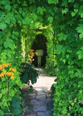 Crathes Castle Garden, 2018
[url=http://streetmap.co.uk/map?X=373457&Y=796690&A=Y&Z=115/] Map location. [/url]
