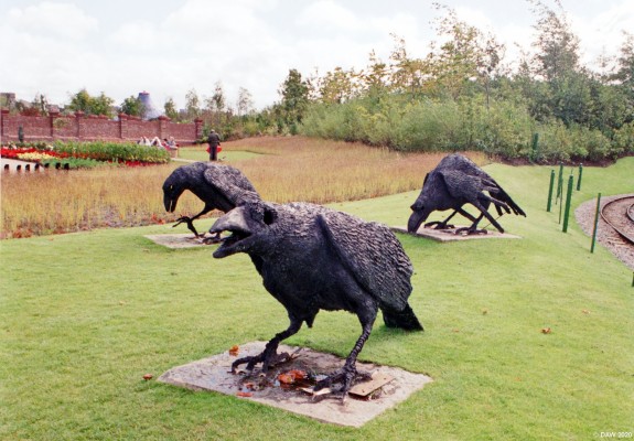 Crows, Glasgow Garden Festival
Somebody seems to have been trying to feed them.

