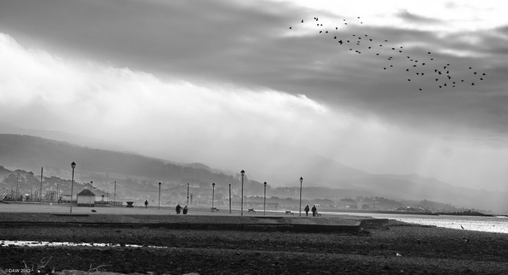 Rooks over Mackerston, Largs
A winter view over the Mackerston putting green at Largs. [url=http://www.streetmap.co.uk/map.srf?X=220069&Y=659153&A=Y&Z=115/] Map location. [/url]
