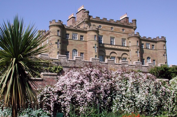 Culzean Castle, Spring
Clematis in full bloom in front of Culzean Castle, Ayrshire.
