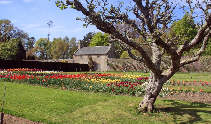 The walled garden at Culzean Castle, 2017
