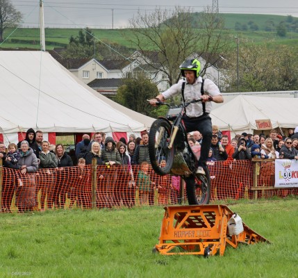 2023, Dangerous Steve
