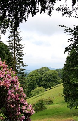 Dawyck Botanic Garden
[url=http://www.rbge.org.uk/the-gardens/dawyck] Dawyck [/url] is one of Scotlands finest Arboretum, in spring it has spectacular colour from Azalea and Rhododendron.
