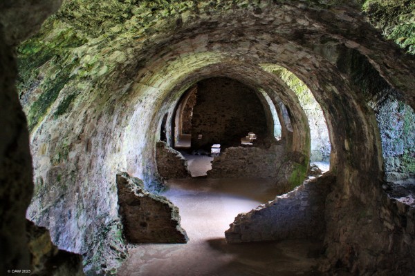Dirleton Castle Cellars
The storage vaults at Dirleton Castle, they were built in the late 1300s for the Haliburtons who received rents from tenants paid in kind, not cash.
