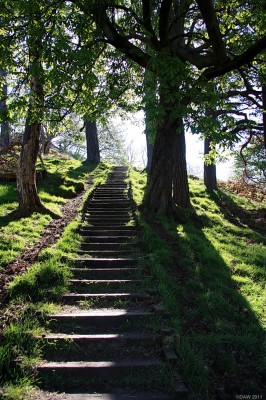 Douglas Park, Largs
The foot path up to the view point above Largs, I don't remember there being so many stairs from when I was a boy, and this only the beginning.
