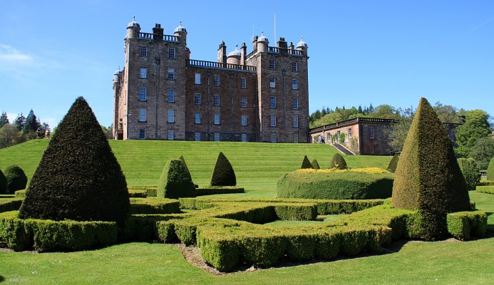 Topiary, Drumlanrig Castle
