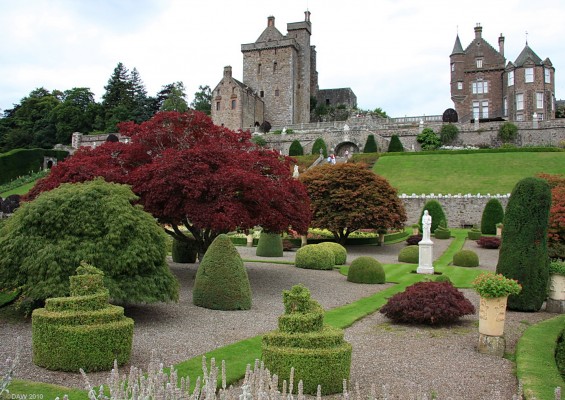 Drummond Castle Garden
Some example of the topiary at [url=http://www.drummondcastlegardens.co.uk/] Drummond Castle Gardens. [/url]
